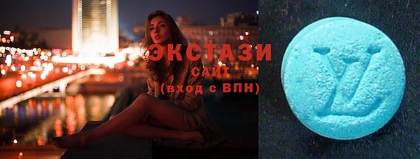 apvp Каменка