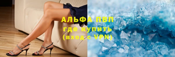 apvp Каменка