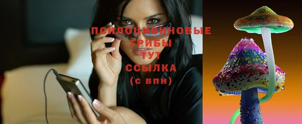 apvp Каменка