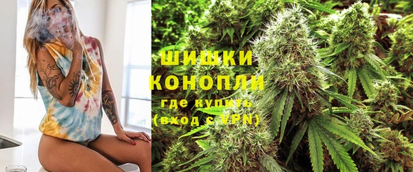 apvp Каменка