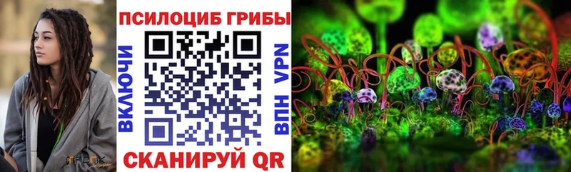 Псилоцибиновые грибы MAGIC MUSHROOMS  Купить где  Аткарск 